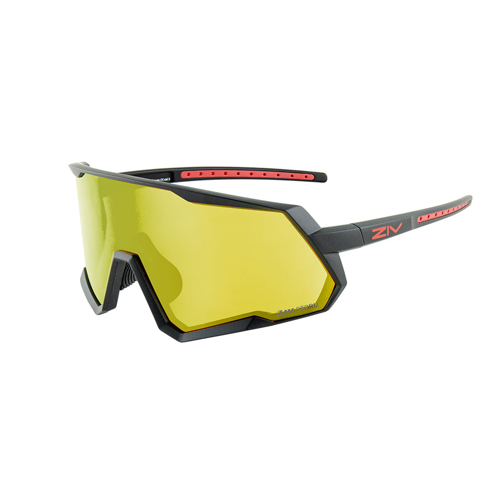 ARES sports sunglasses