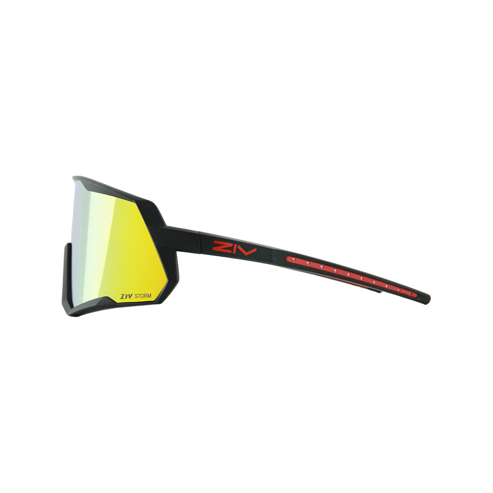 ARES sports sunglasses
